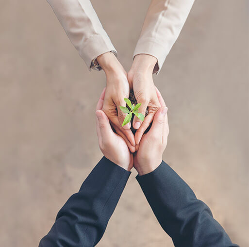 Sustainibility Image