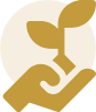 2017 icon