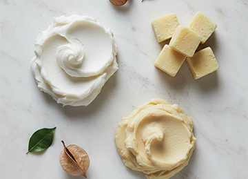 Plant-Based Butters in Skincare | Why Ethical Sourcing Matters