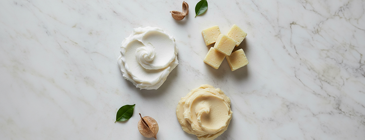 Plant-Based Butters in Skincare | Why Ethical Sourcing Matters