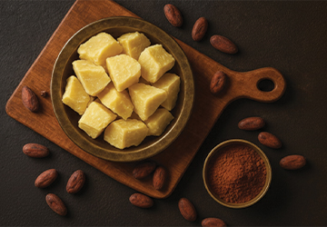Cocoa Butter Equivalents in High-Quality Chocolate