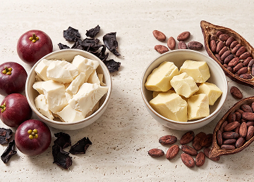 Kokum Butter vs Cocoa Butter: Which Butter Works Best in Skincare Formulations?